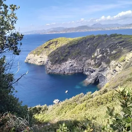 Apartment Grand T2 Sur La Presqu'ile De Giens Hyeres