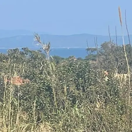 Apartment Grand T2 Sur La Presqu'ile De Giens *